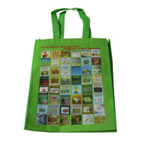 虹桥LB11覆膜无纺布广告袋